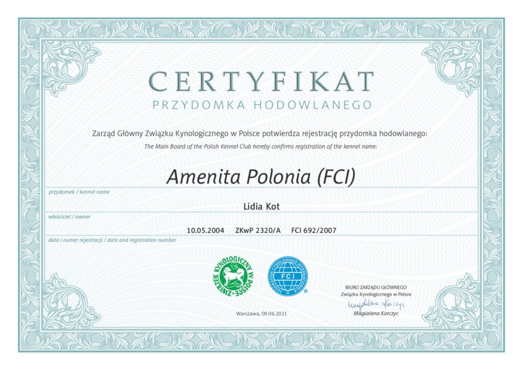 Certyfikat hodowlany Amenita Polonia FCI
